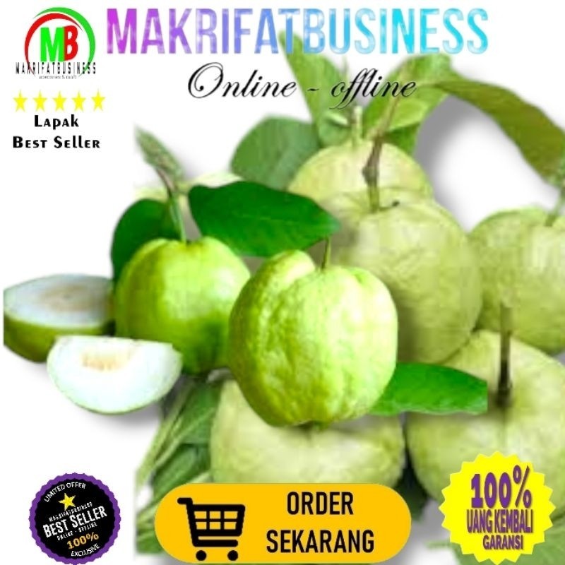 

IMDA HANDICRAFT Paket 1 Kg Buah JAMBU KRISTAL PUTIH Tanpa Biji