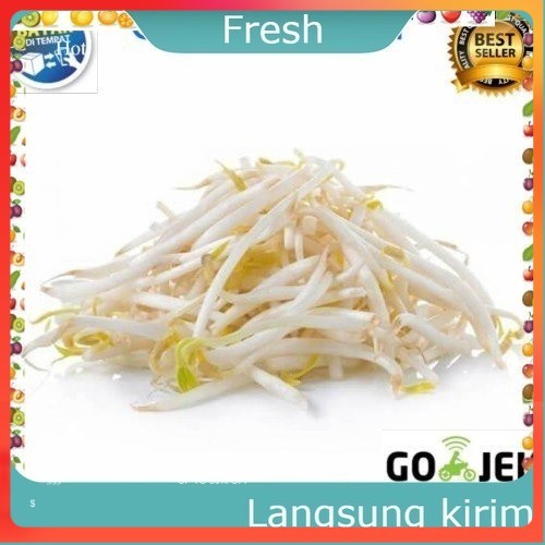 

Cambah Kecambah Panjang Pendek Toge Tauge 250 gram Sayur Mayur Buah Buahan Bersih Fresh