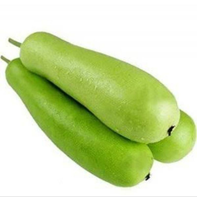 

labu air || 1-3 kg - BEST Fresh food