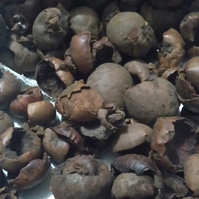 

Kulit Manggis Kering 1kg TERBARU