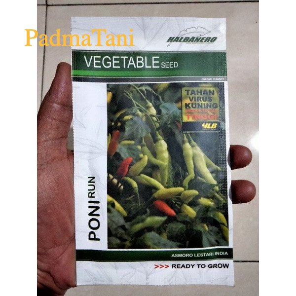 Benih Cabe Rawit PONIRUN 10 Gram - Bibit Cabai Rawit PONIRUN - Crm  Lestari Mhanu