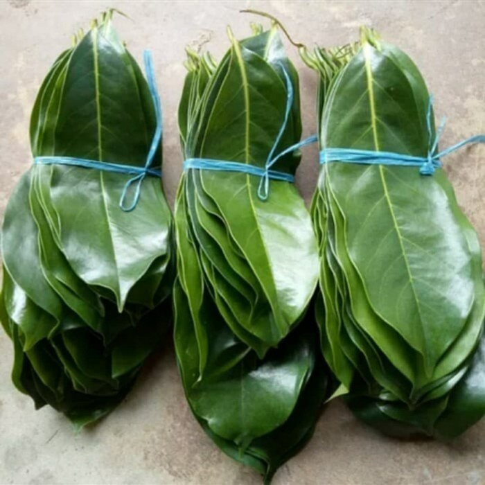 

TDS Daun Sirsak Segar - Daun sirsak fresh organik 100gram - 50gram