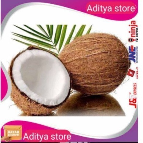 

COD KELAPA TUA BULAT UNTUK PARUT/1 butir kelapa tua untuk santan bahan poko mega store ready