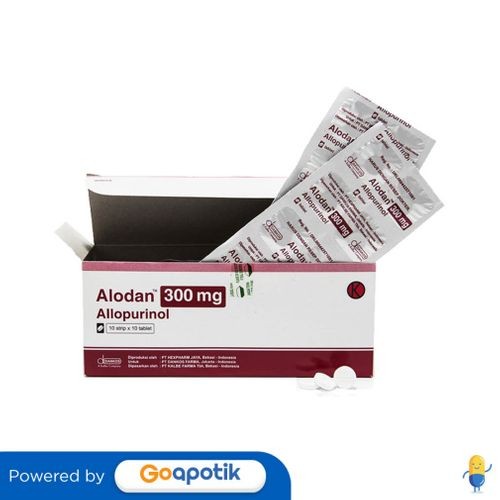 Alodan 300 Mg Box 100 Tablet