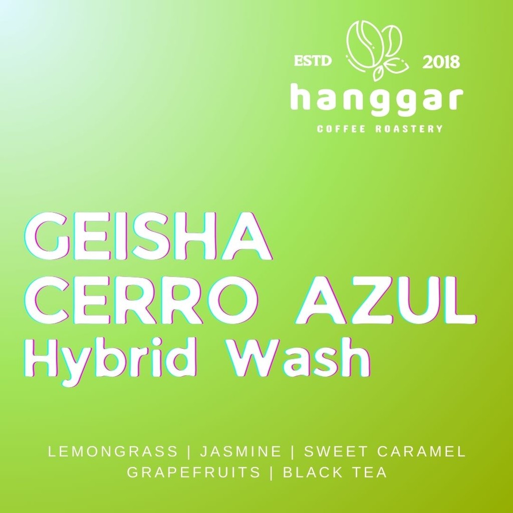 

Geisha Cerro Azul Hybrid Wash - Exotic Coffee - Hanggar Roastery