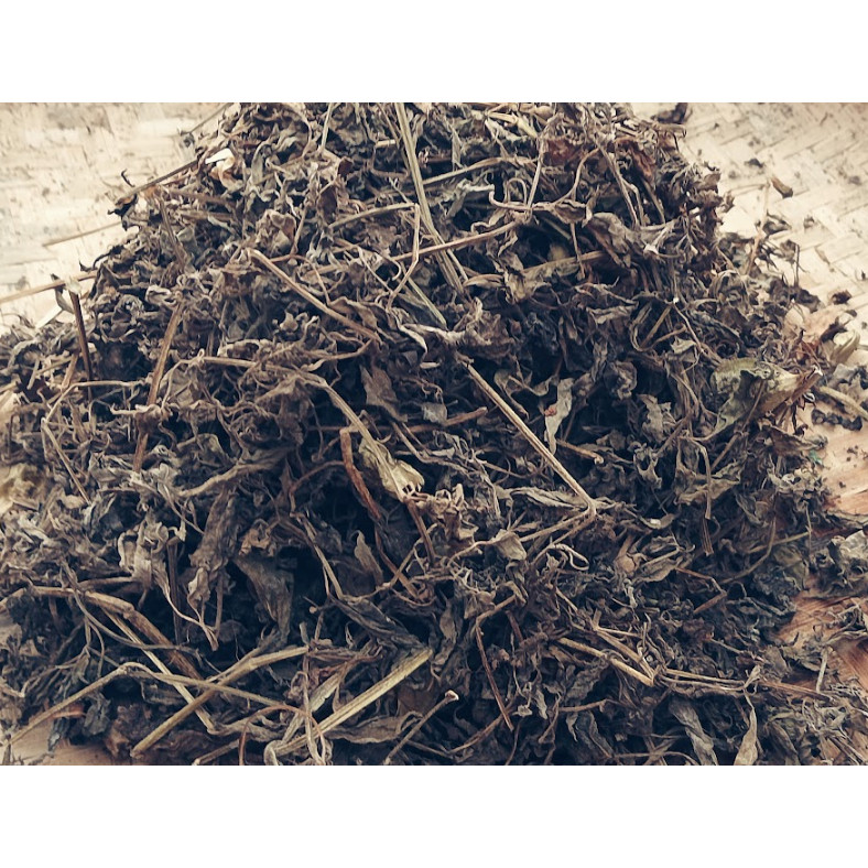 

Daun Ciplukan Kering / Daun Cecendet Kering Alami