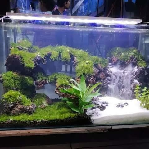 aquascape full set 40cm jadi tema waterfall/air terjun