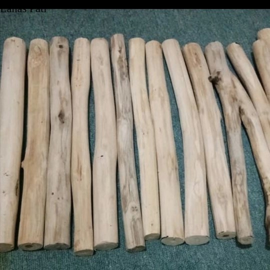 

ranting kayu jati diameter 5cm panjang 150cm - ranting jati besar XD3