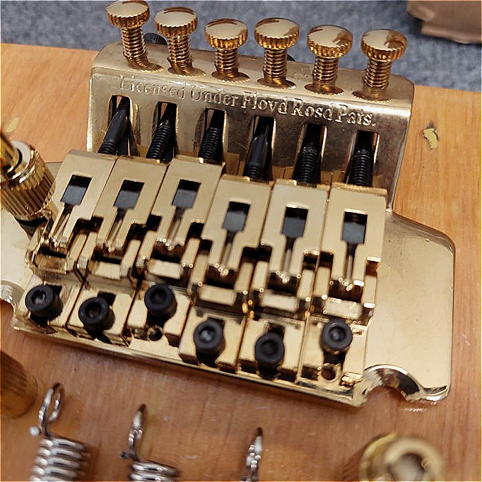 Tremolo gitar floydrose updown 6 string set gold