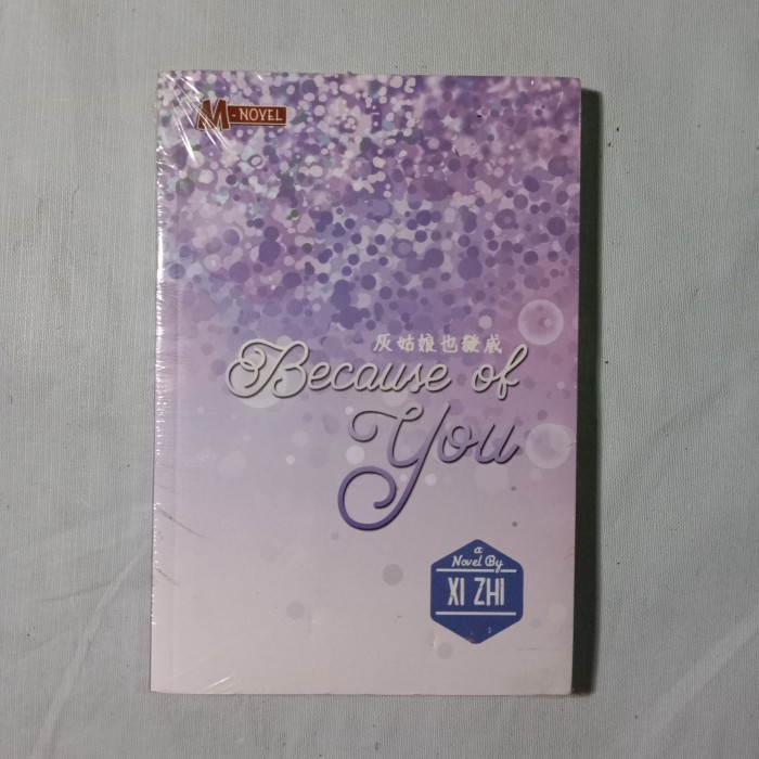 Novel Because of you by XI zhi