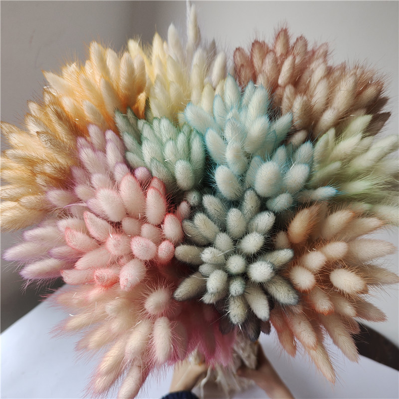 

50pcs Natural Boho Bunny Rabbit Tails Pampas Grass Dried Flowers for Floral Arrangement Rustic Wedding Party Decoration DIY