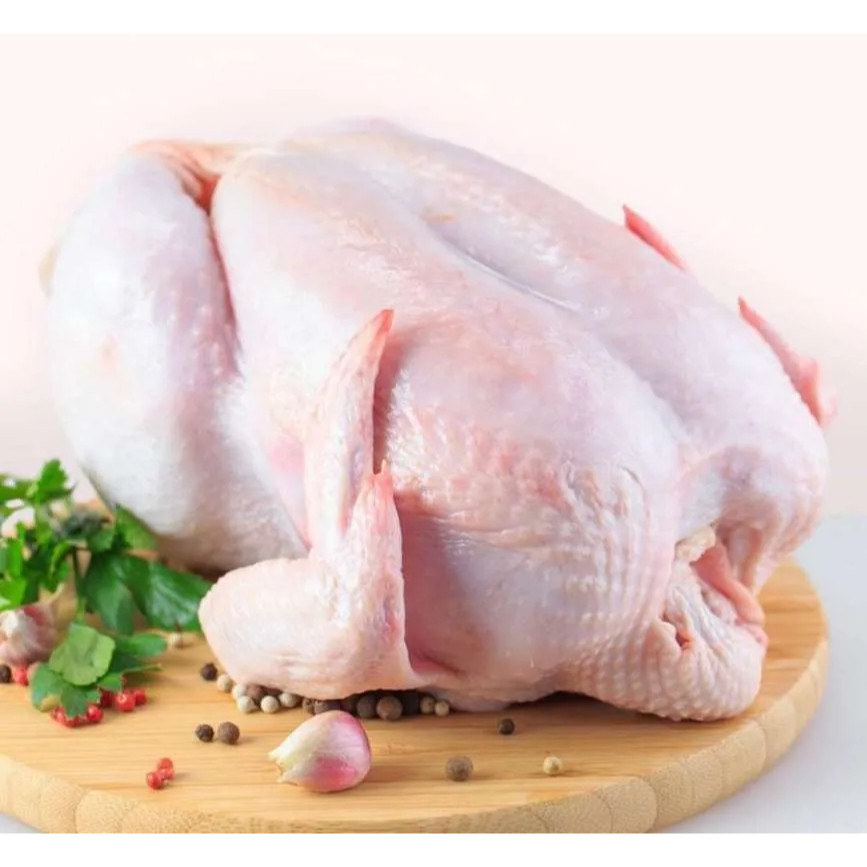 

Ayam Broiler Utuh Segar 1 kg up