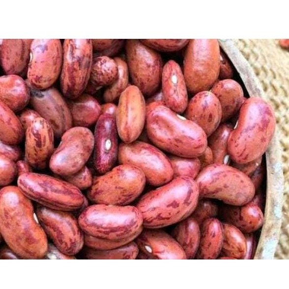 

Kacang Merah 100 gram - Red kidney Bean 100 gram