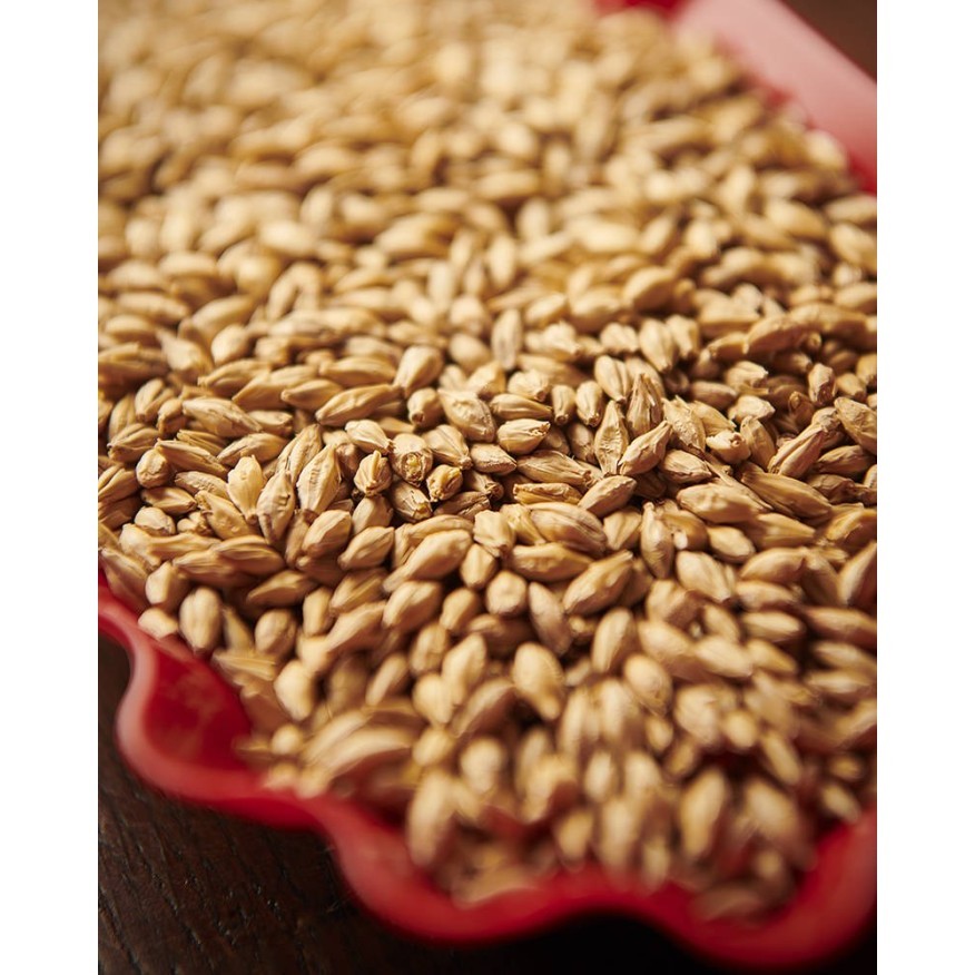 Imattonshop WEYERMANN MUNICH MALT TYPE 1 grain barley malt brewing - 100 gram