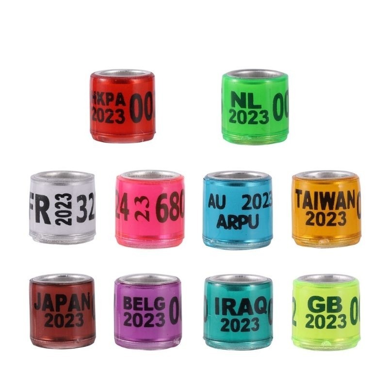 RING BURUNG MERPATI IMPORT 2024 MERPATI POS PIGEONmurah