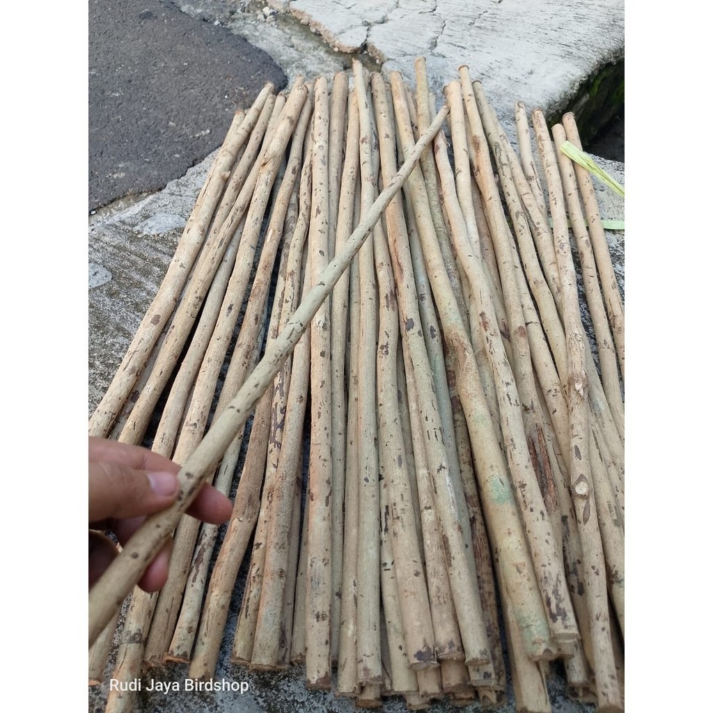 READY TANGKRINGAN BURUNG KAYU ASEM BALI HALUS  SANGKAR BURUNG MURAI KACER PLECI KENARI KONIN SOGON