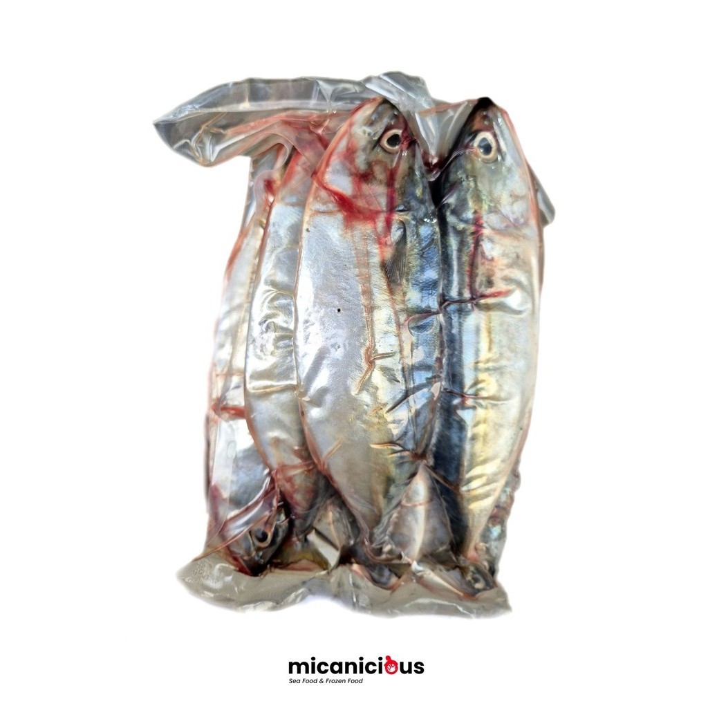 

IKAN KEMBUNG BANJAR PREMIUM FRESH FROZEN 1KG