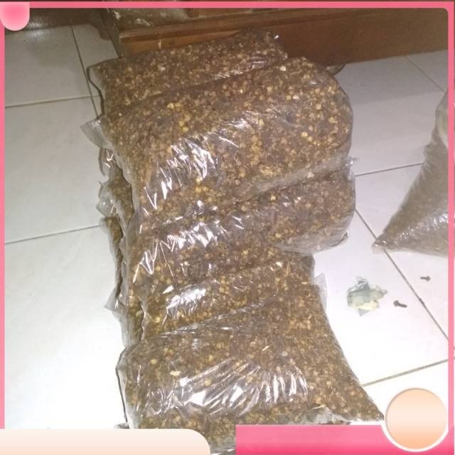 

Cengkih atau cengkeh Kualitas Terbaik