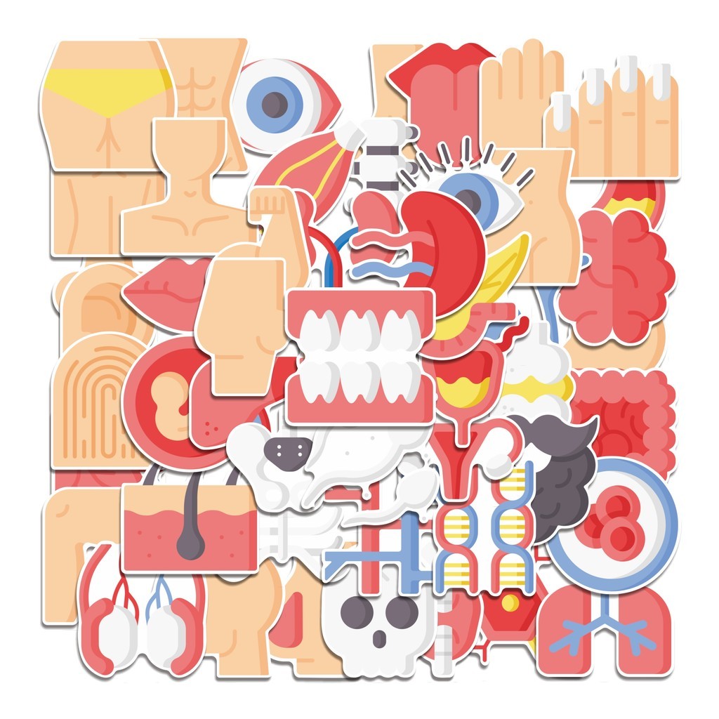 

COD 50 Pcs Stiker Human Body Lucu Anti Air Untuk Dekorasi Notebook Sepeda Skateboard Handphone