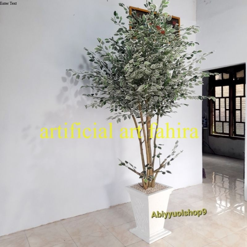 NEW ARRIVAL Pohon Hias Beringin Varigata Tinggi  2,5 meter pot putih  besar Pohon Hias Aesthetic Nat