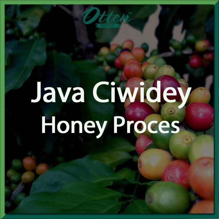 

Green Bean Java Ciwidey Honey Process - 1 Kg