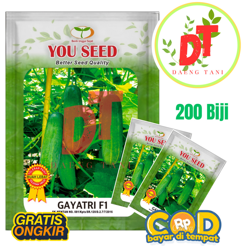 Benih Bibit Timun Lalap Baby Tahan Virus GAYATRI F1 200 Biji You Seed Bebas Pahit