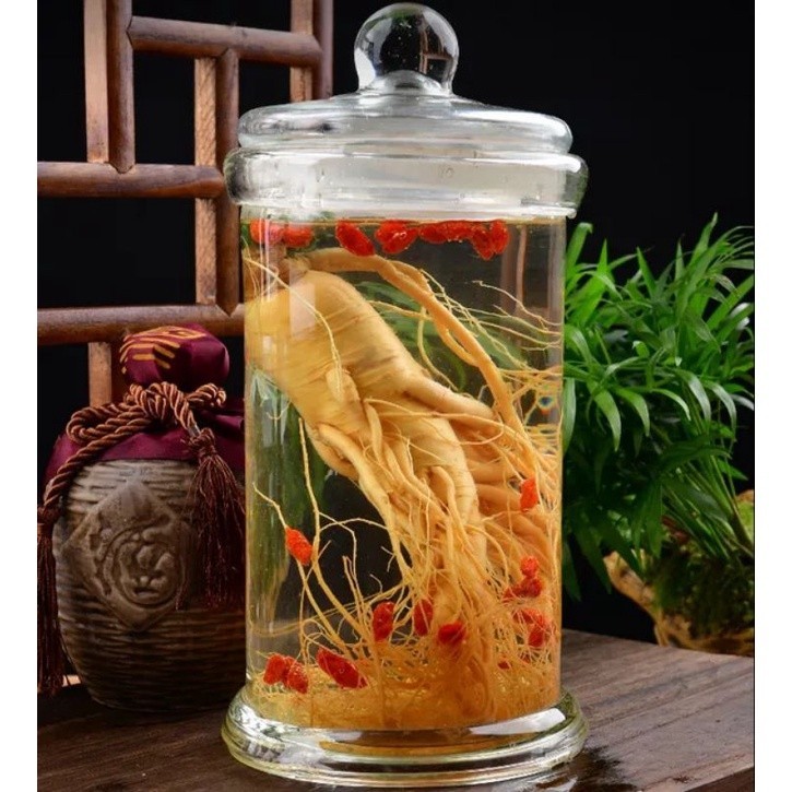 

Akar Ginseng Kemasan Vacuum Berat 200Gram (COD)