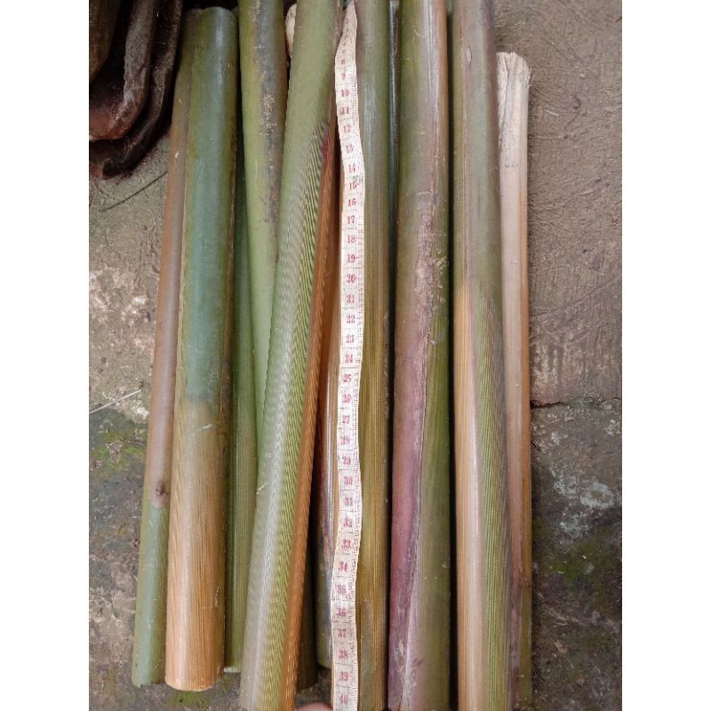 

batang pohon combrang /batang honje 1kg .. ukuran 40cm-1m