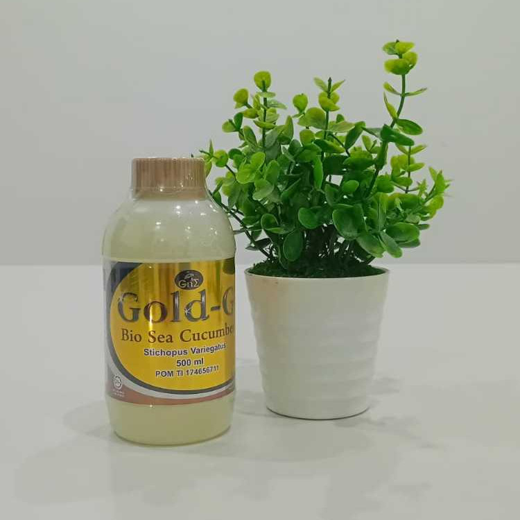 Gold-G Jelly Gamat Bio Sea Cucumber isi 500 ml | Mempercepat penyembuhan luka