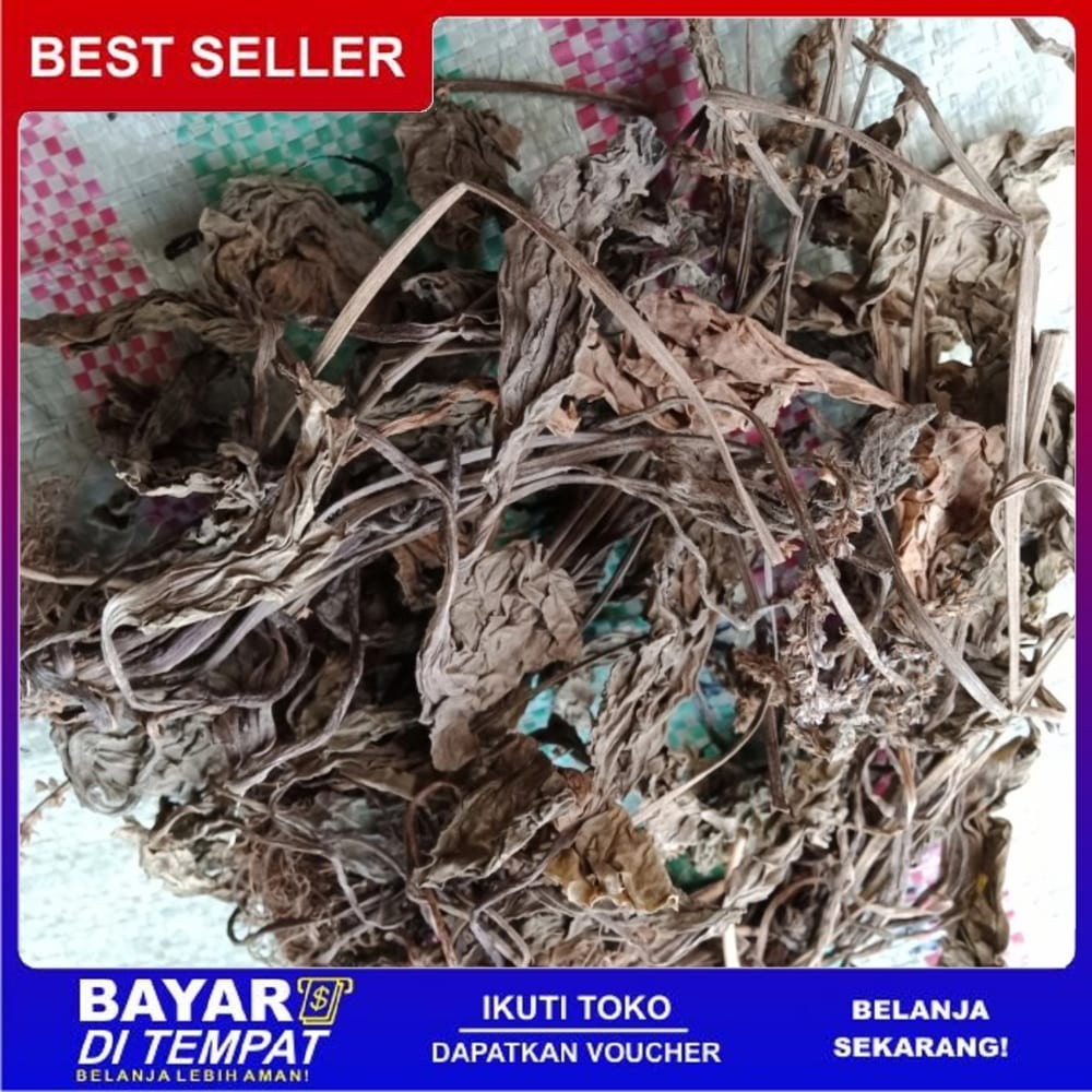

OMH Terlaris Murah [500g] DAUN SENDOK Kering Herbal ISPA Peluruh Kencing Darah Bisul