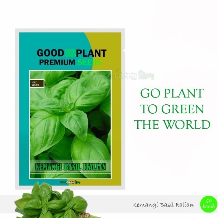 PREMIUM SEED - 50 Biji Benih Bibit Kemangi Basil Italian Large