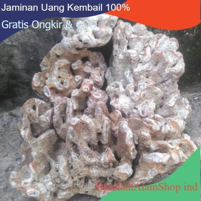 Karang Batu,posil Laut Besar Media Aquascape Hiasan Aquarium(2kg)