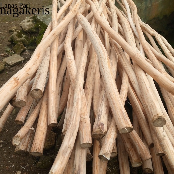 

Ranting kayu jati dekorasi 5 batang panjang 2 meter FNX111 XD10