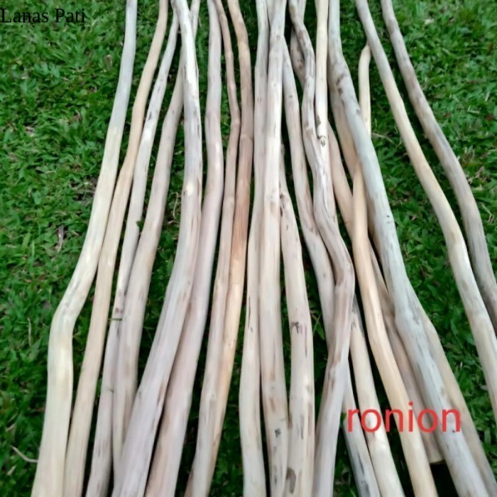 

ranting kayu jati 2 meter dan 1 meter sudah dihaluskan - 1 meter FXN6 - 1 meter XD9