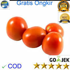 

Tomat Lokal 500 gram/ Sayur Sayuran Segar Fresh Tiap Hari / Pasar Keputran / Kualitas Bagus