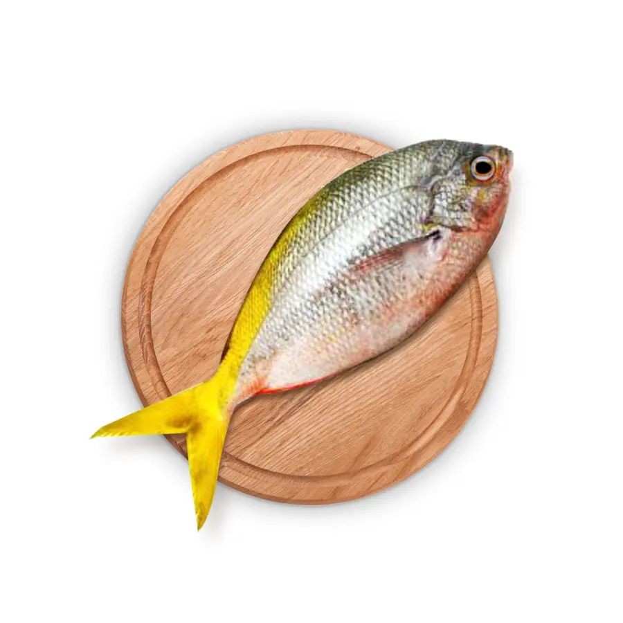 IKAN EKOR KUNING FILLET/IKAN FILLET/IKAN TINGGI PROTEIN
