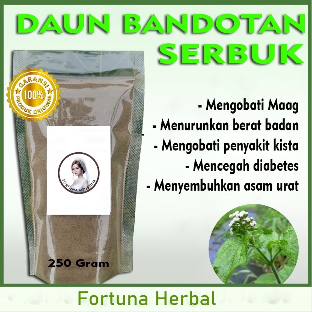 

Daun Bandotan Serbuk Herbal - Sembuhkan kista