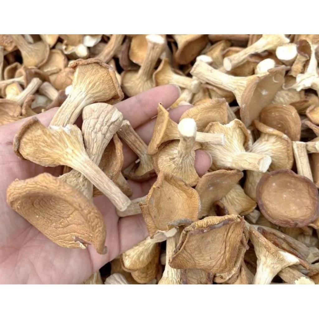 

Zhu Du Gu Jamur Zhudu Gu 250gram