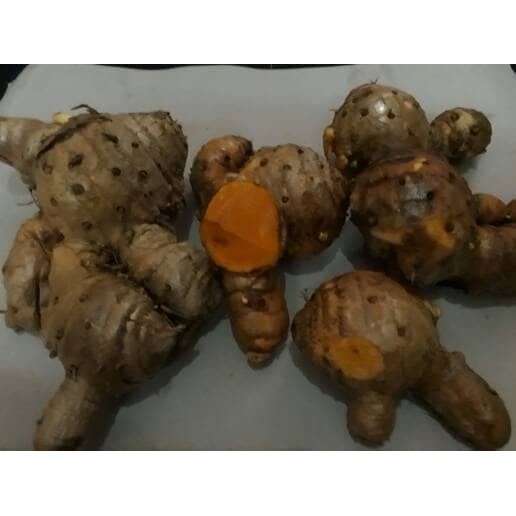 

New Promo temulawak/koneng gede/kunyit/temulawak segar 1kg