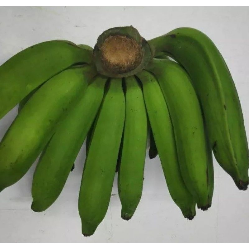 

BIG 1-Kg Pisang Nangka / Pisang Nangka Mentah / Bahan Kerpik Pisang ready