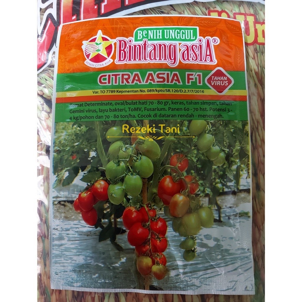 Benih Tomat Citra Asia F1 5 gram Bintang Asia