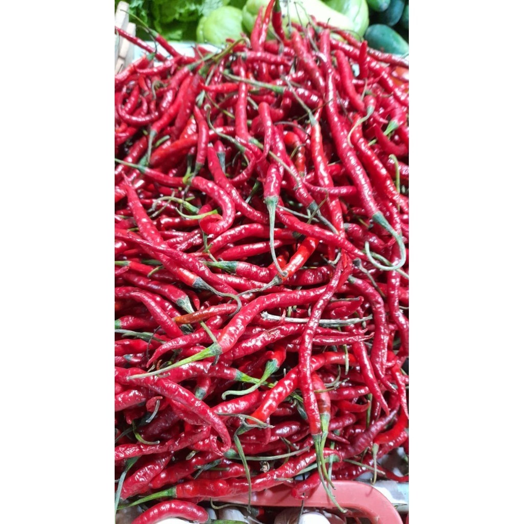 

CABE KERITING MERAH [250-gram]