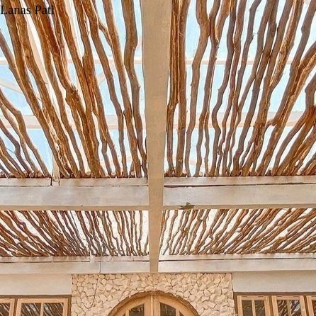 

tokyokayu - Ranting Kayu Jati Kering 200 CM Bahan Atap Dekoratif Dayani Indonesia XD3