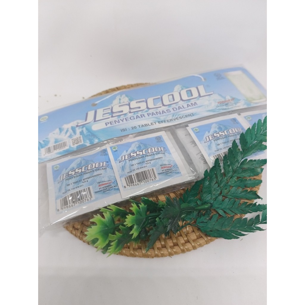 

JESSCOOL 12/24