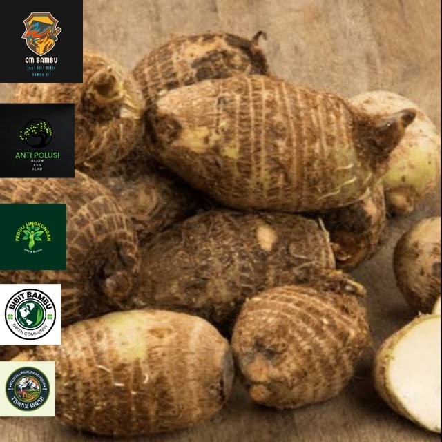 

[PROMO] Ubi Umbi Talas Pulen 1 Kg Murah