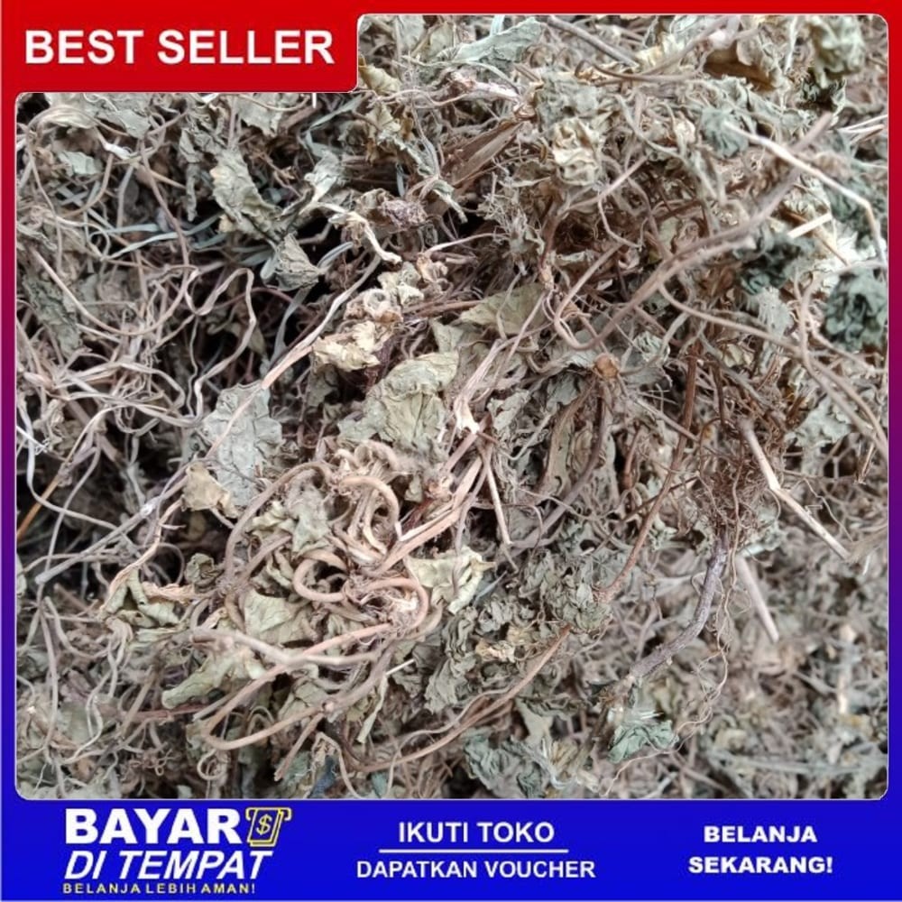 

OMH Terlaris Murah [250gr] pegagan kering premium