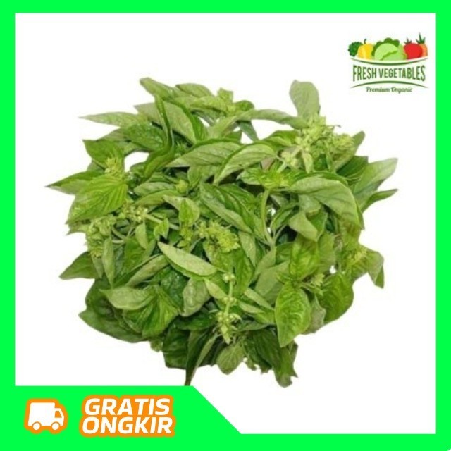 

Daun Kemangi 50gr - 100gr - 250gr