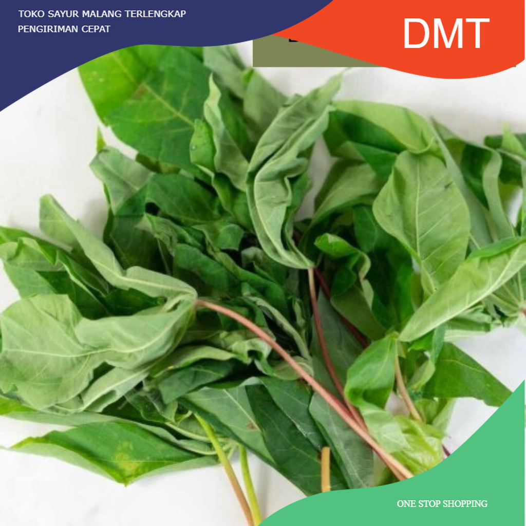 

Kirim Instant Daun Singkong Konvensional 250 gram