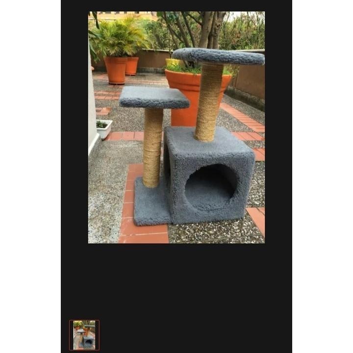rumah kucing brkualitas bagus rumah kucing siap pake kuat rumah kucing isi 3 rumah+bonus kalung kuci