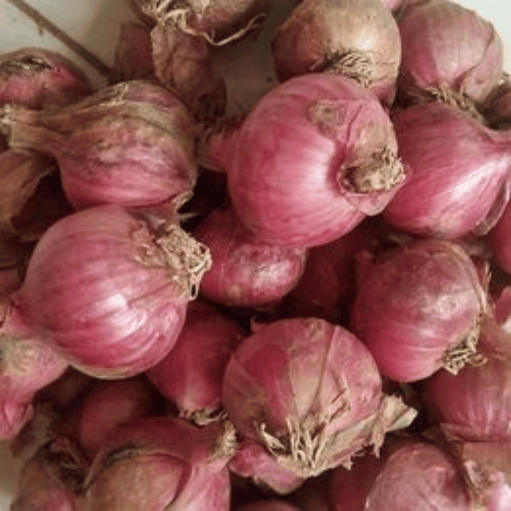 

bawang merah super 1kg bwang merah bawang merah bawang merah 500 gram bawang merah probolinggo